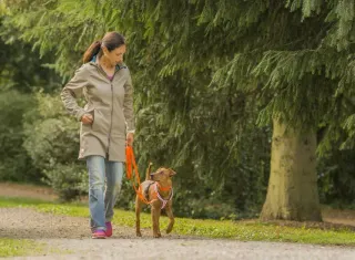 Dieser Anbieter hat keine Bildbeschreibung für dieses Bild hinterlegt