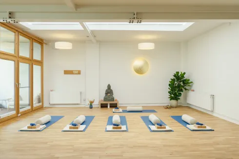 Mini-Class: Ashtanga Flow & Yoga Nidra @ The Shala Hamburg