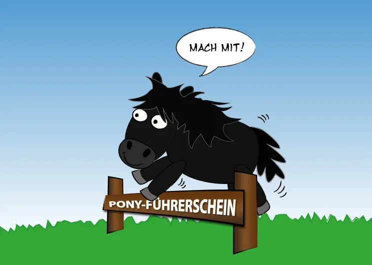 Warteliste Pony-Führerschein Gold @ Ponyschule Seelenpferdchen