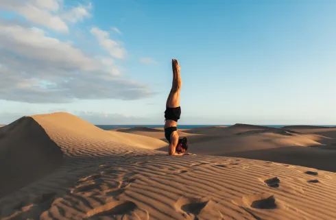 Unterarmstand Technik Online Workshop  @ Yoga and Pole Art by Selina