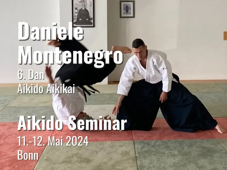 Aikido Seminar mit Daniele Montenegro, 6. Dan Aikikai | 11.-12. Mai 2024 @ Bewegung & Lebenskunst