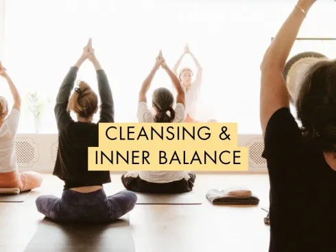 Le studio n'a pas fourni de description pour cette image