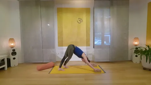 Le studio n'a pas fourni de description pour cette image