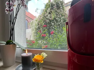 Dieser Anbieter hat keine Bildbeschreibung für dieses Bild hinterlegt