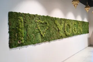 Dieser Anbieter hat keine Bildbeschreibung für dieses Bild hinterlegt