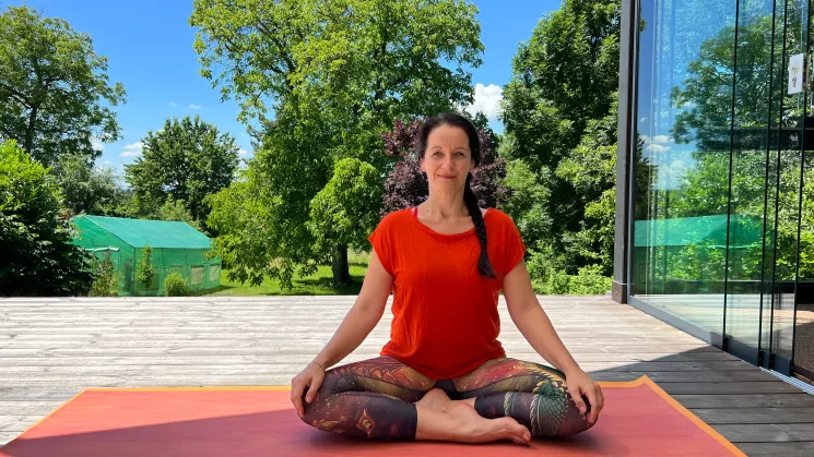 Anusara Yoga - Bridge Program @ Dr. Eva Pöschl-Walter