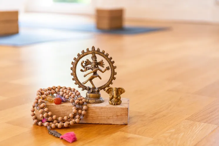 Ab auf die Matte! - der Yoga Online Kurs für Anfänger Teil 3: Rückbeugen @ downdogyoga