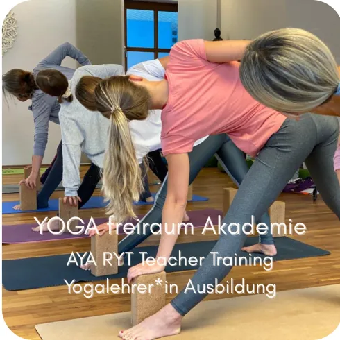 Infotermin Teacher Training AYA RYT-200 vor Ort @ YOGA freiraum