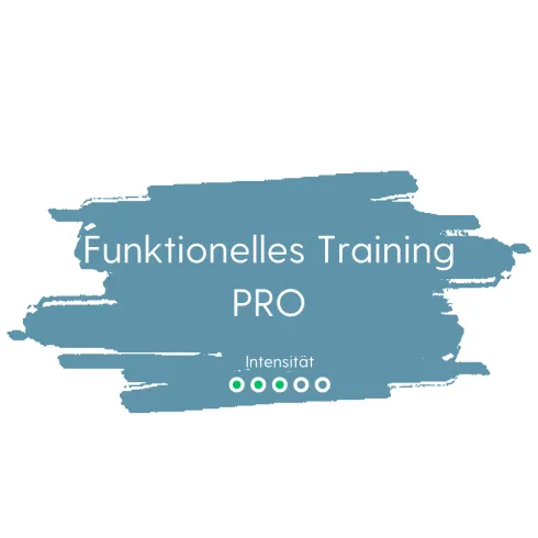 Funktionelles Training - PRO (Dienstag 20:15 Uhr) @ Funktionelle Chiropraktik