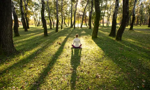 Morning Yoga Immersion Oktober *online* @ Flow & Golden Yoga