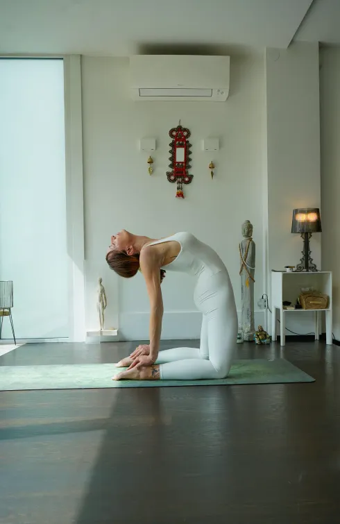 Le studio n'a pas fourni de description pour cette image