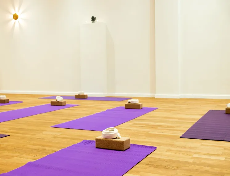 Yoga Beginner Kurs (3 x 90 min) @ Santosa Yoga
