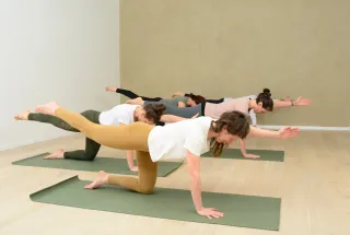 Dieser Anbieter hat keine Bildbeschreibung für dieses Bild hinterlegt