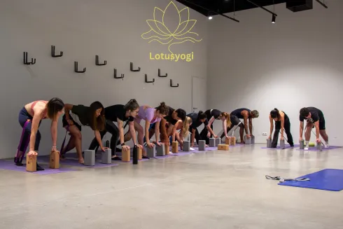 lotusyogii