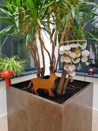 Dieser Anbieter hat keine Bildbeschreibung für dieses Bild hinterlegt