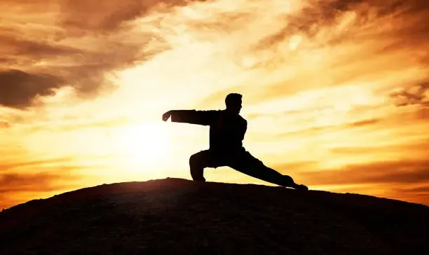 XL Tai Chi Flow @ Miranda Klomp Yoga en Coaching