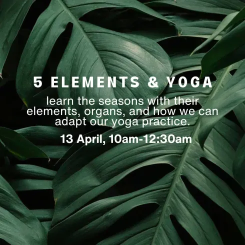 5 ELEMENTS & YOGA @ Soul City