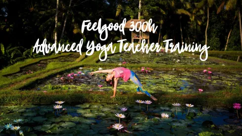 Feelgood Advanced Yoga Teacher Training 300 Stunden (Anzahlung alle Module) @ Feelgoodstudio 1040 " Movement / Vritti "