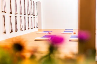 Dieser Anbieter hat keine Bildbeschreibung für dieses Bild hinterlegt