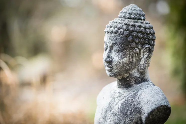 Méditation Zen (en français) @ Ecole des Yogas et Méditations de l'Ermitage