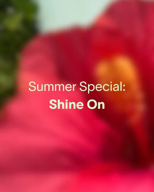 Summer-Special: Shine on @ Soulroom Vienna