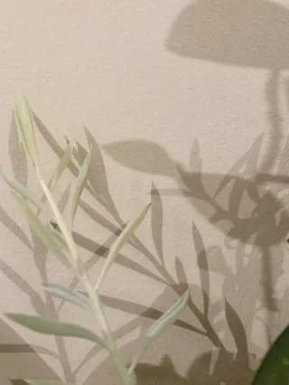 Dieser Anbieter hat keine Bildbeschreibung für dieses Bild hinterlegt