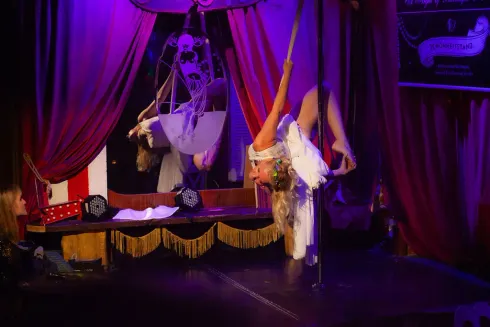 Mit Silk Pole zu Hebefiguren @ Schönheitstanz Studio