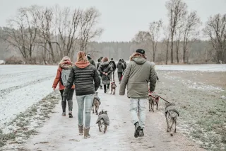 Dieser Anbieter hat keine Bildbeschreibung für dieses Bild hinterlegt