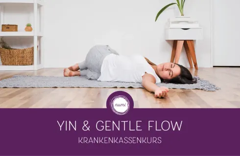 Krankenkassenkurs: Yin & Gentle Flow – regenerativer Hatha Yoga |ab Sep| STUDIO @ numi | Yoga & Entspannung