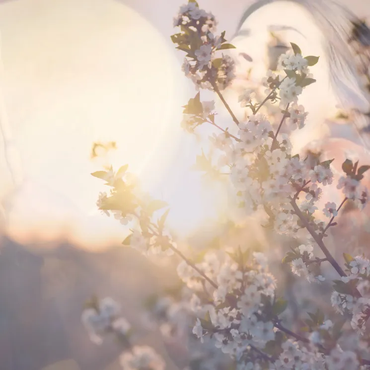 Méditation: Yoga du Son et chant sacré @ Laetitia Camilleri