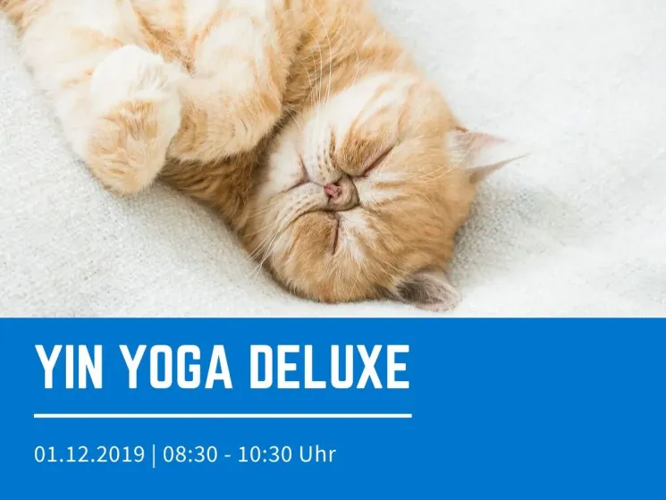 Yin Yoga Deluxe - 1.12.2019  @ leibnitz.yoga