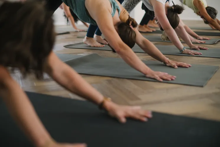 online VINYASA FLOW L1-2 @ The Vinyasa People Yoga Studio
