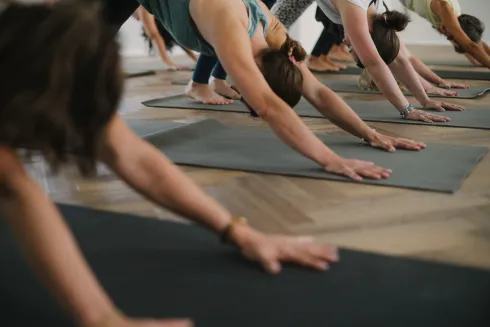 online VINYASA FLOW L1-2 @ The Vinyasa People Yoga Studio