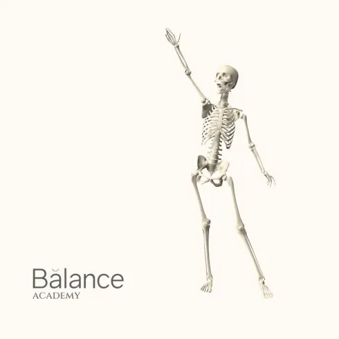 Vorbereitungskurs Teacher Training Pilates/Yoga | Anatomie Grundlagen im Studio Mainz (14h) @ Balance Group