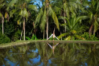 Dieser Anbieter hat keine Bildbeschreibung für dieses Bild hinterlegt