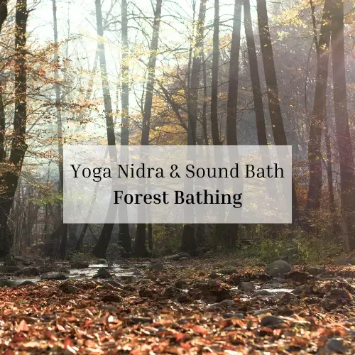 Yoga Nidra & Sound Bath: Forest Bathing @ Elevate Studio