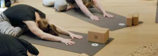 Dieser Anbieter hat keine Bildbeschreibung für dieses Bild hinterlegt