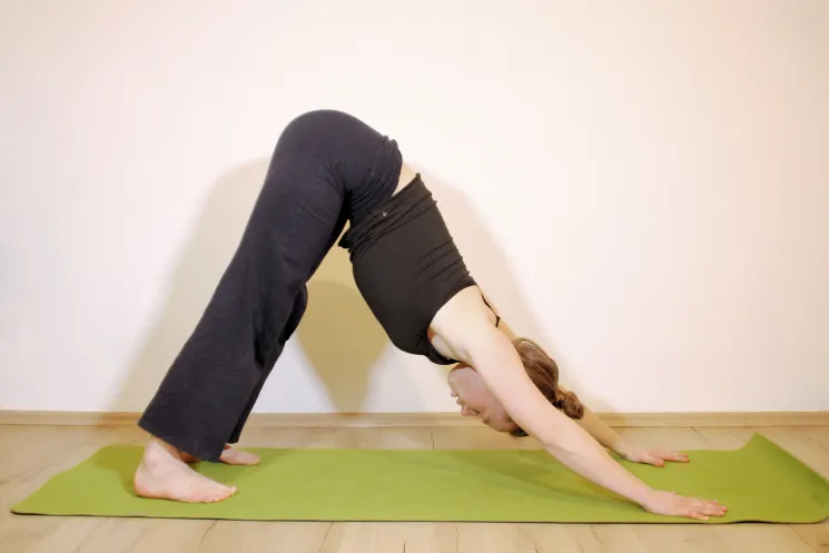 Anfängerkurs (4 Wochen, online) @ Redwood Yoga Bonn