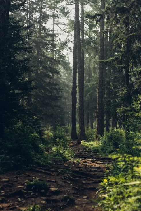 Offline (SILENT) Half-Day Retreat with Guka (EN) @ Yoga Nest Oerlikon
