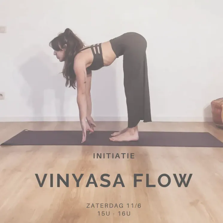 Initiatie Vinyasa Flow @ Billie Yoga & Pilates Studio