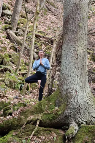 Dieser Anbieter hat keine Bildbeschreibung für dieses Bild hinterlegt