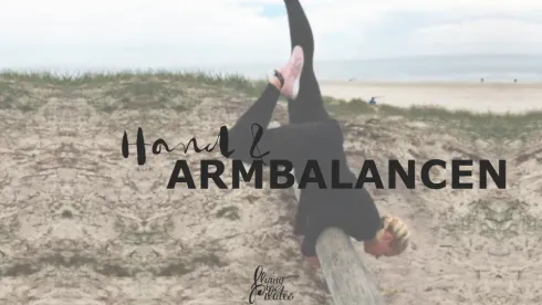 Hand- und Armbalancen | Livestream Workshop @ Flying Pilates