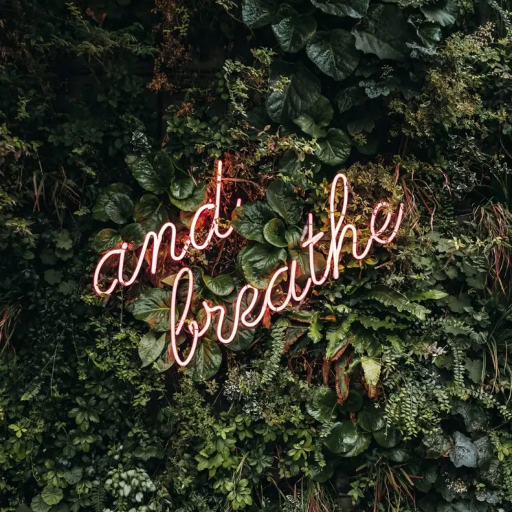 Breakthrough Breathwork @ Booking at The Innersense