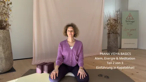 Le studio n'a pas fourni de description pour cette image