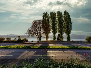 Dieser Anbieter hat keine Bildbeschreibung für dieses Bild hinterlegt
