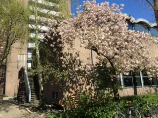 De locatie gaf geen beschrijving voor deze profielafbeelding