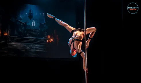 Strength, Power and Momentum mit Alexander Shender (ADV) @ Wild Flow • Pole & Movement Studio