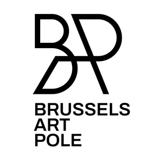 Brussels Art Pole