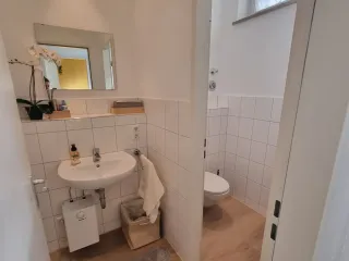 Dieser Anbieter hat keine Bildbeschreibung für dieses Bild hinterlegt