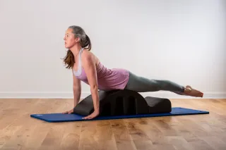 Le studio n'a pas fourni de description pour cette image de profil.